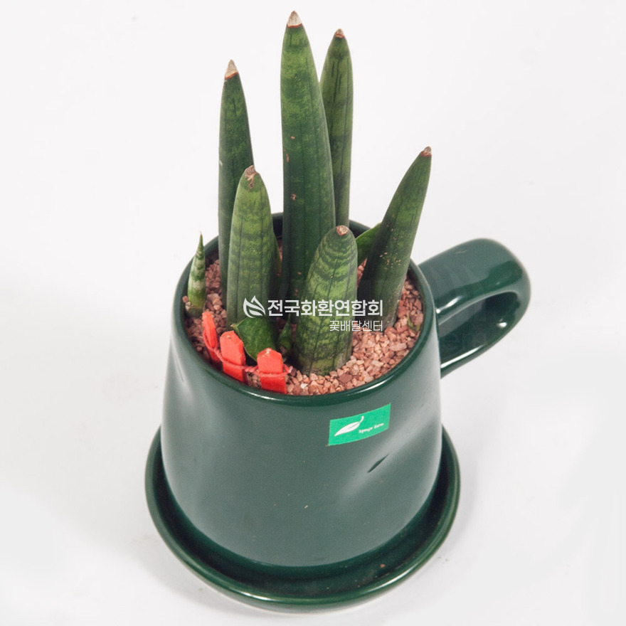 상세이미지