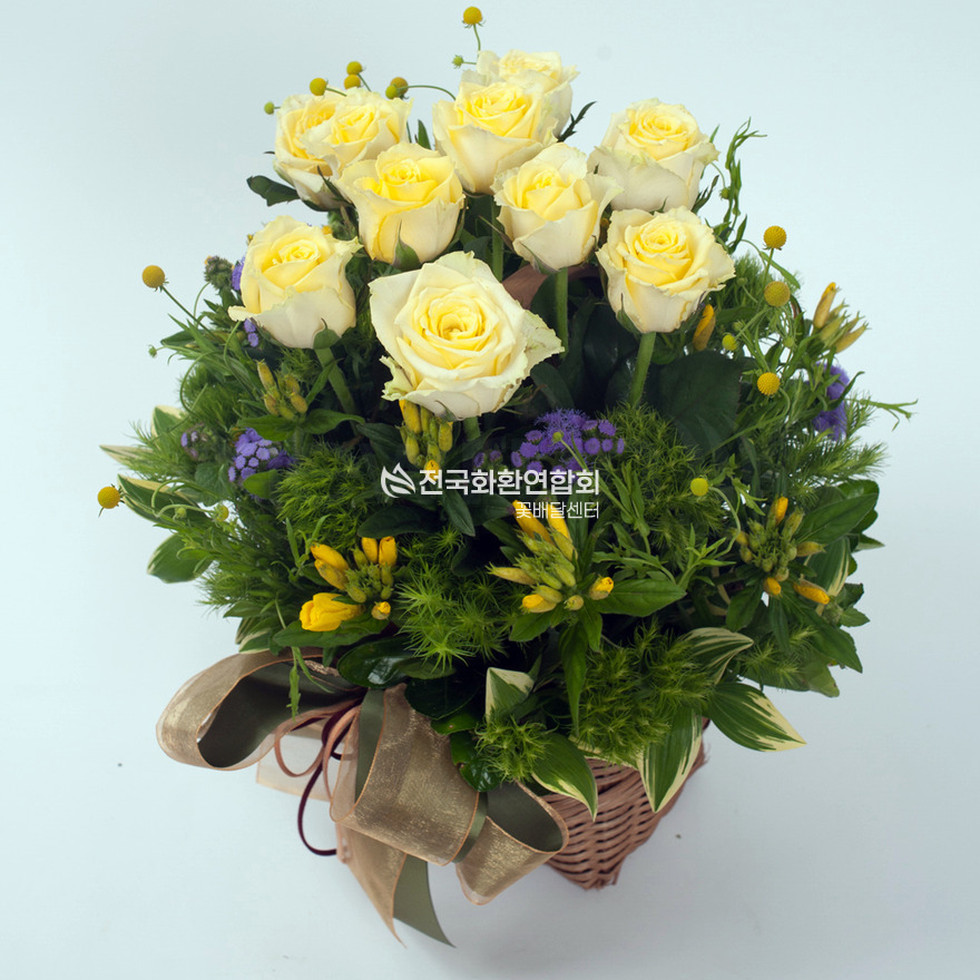 상세이미지