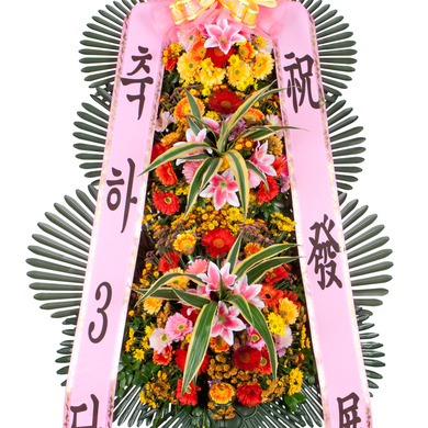 축하3단<즉시배송1>