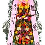 축하3단<즉시배송2>