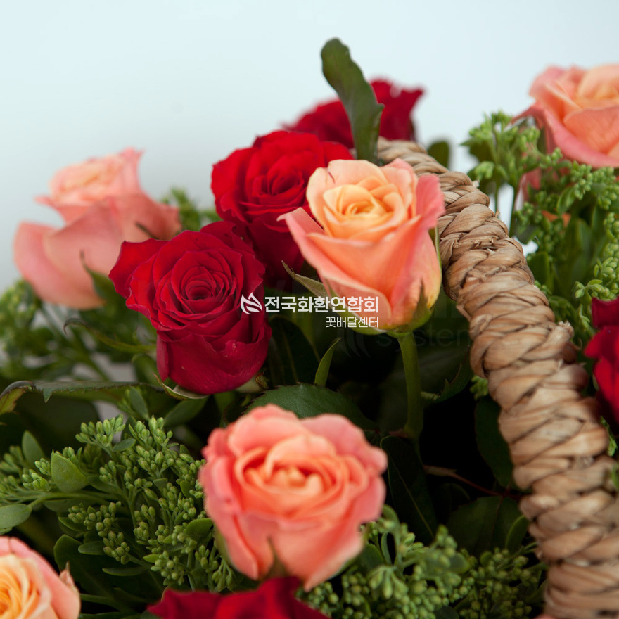 상세이미지
