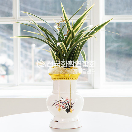 태양금