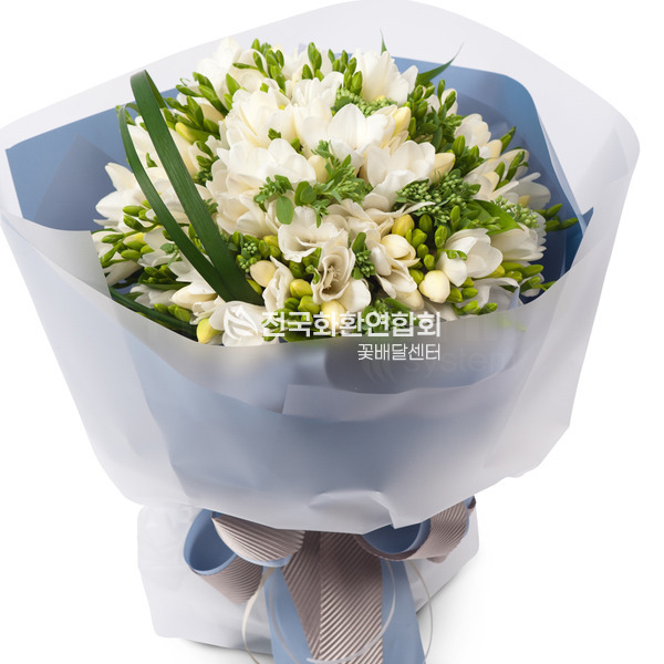 후리지아흰색꽃다발(예약상품)