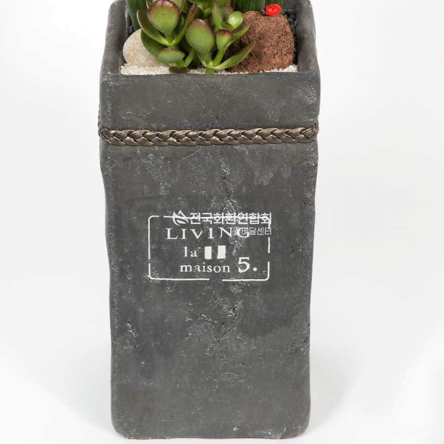 상세이미지