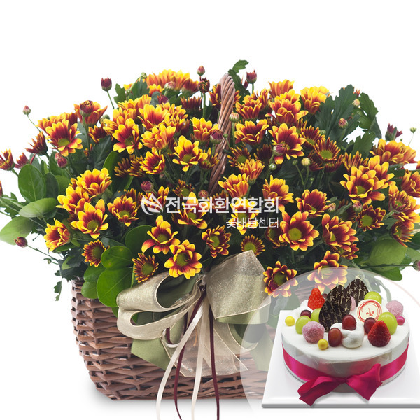 소국바구니a2338<케익포함>