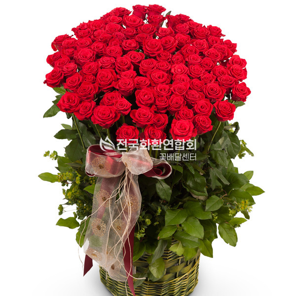 사랑하는 그대에게(100송이)