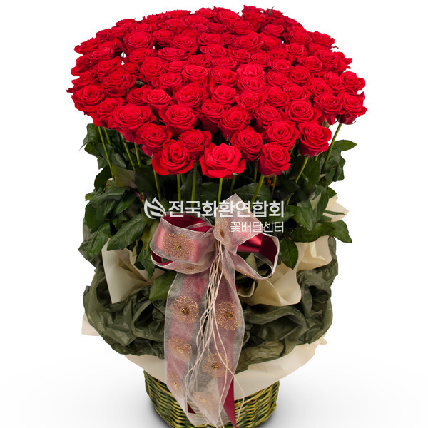 내 마음을 담아(100송이)