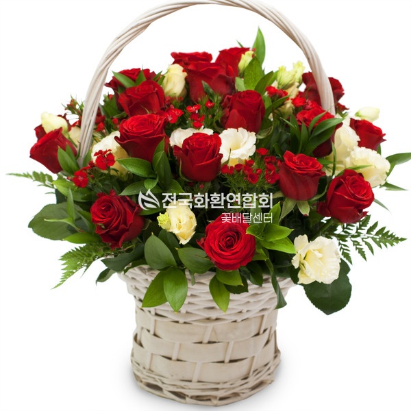 사랑의 파수꾼♥최고인기상품