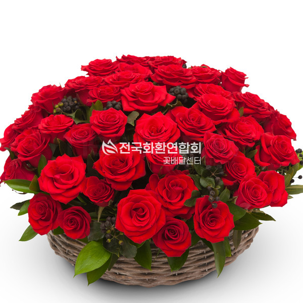 레드장미바구니