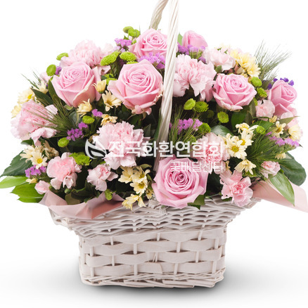 핑크 2호