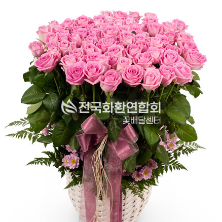 아침같은 사랑(100송이)