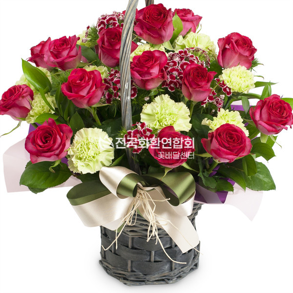 로즈 17호