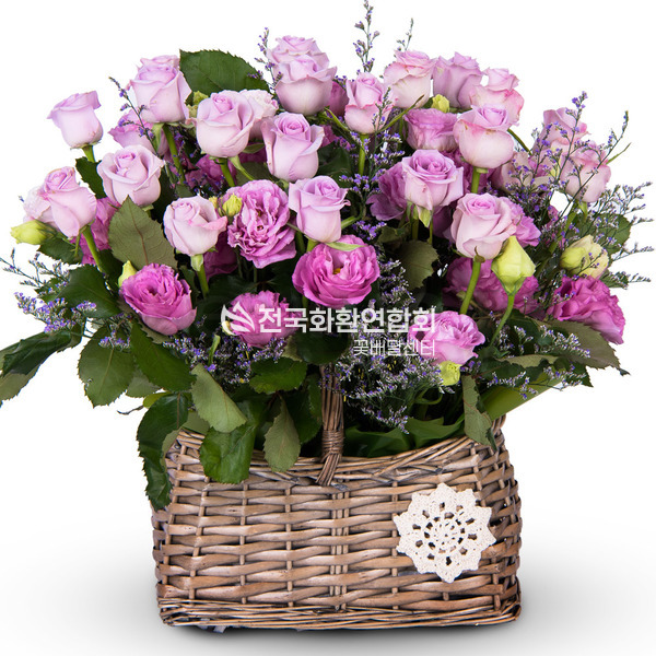 사랑하길 정말 잘했어요