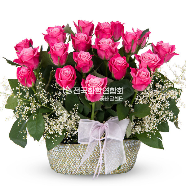 pretty(프리티)