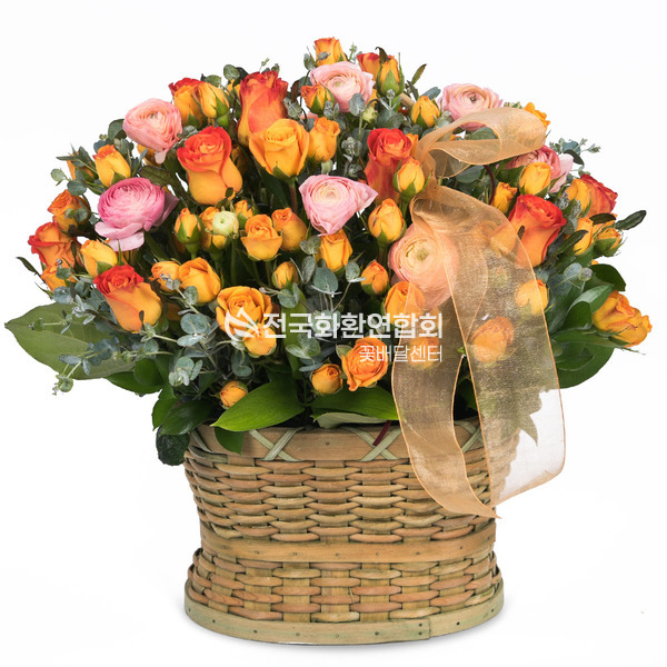 햇살좋은날♡<예약상품>