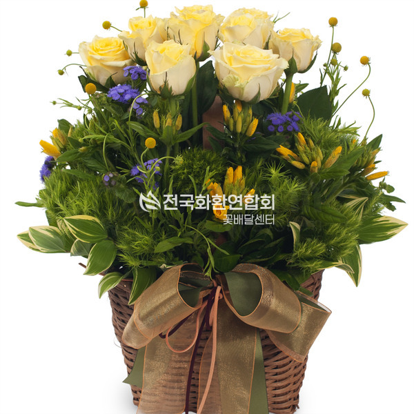 옐로우톤바구니