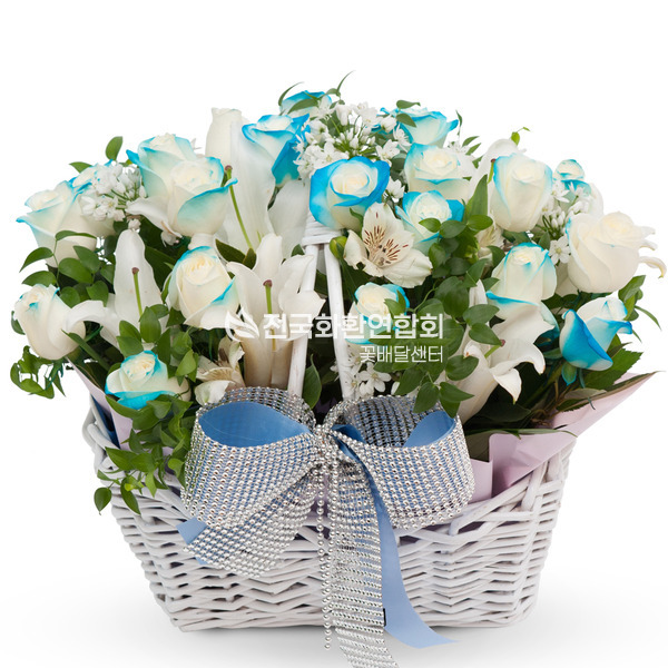파랑이2