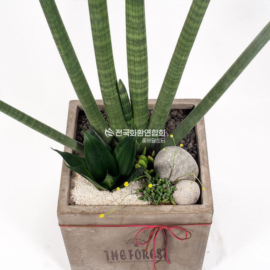 상세이미지