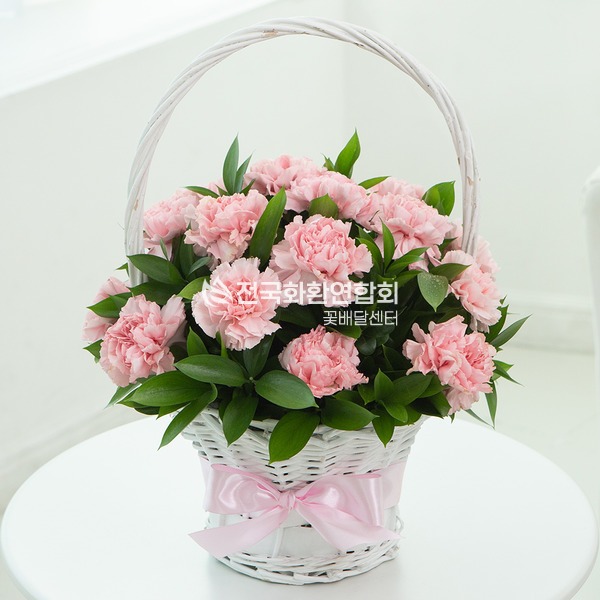 핑크 카네이션