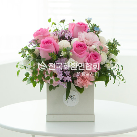 사랑하는 그대에게1