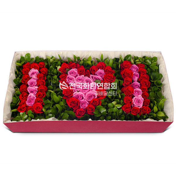 아이러브