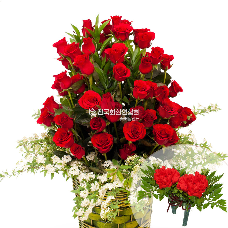 상세이미지