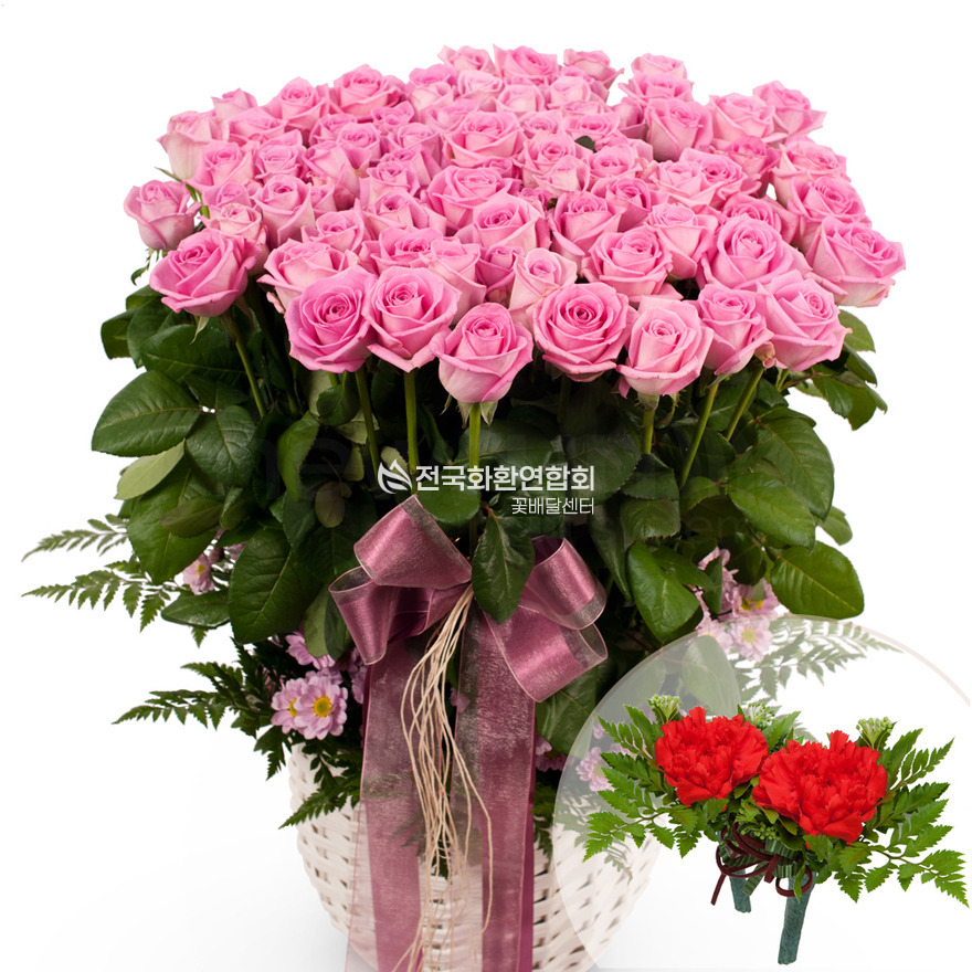 상세이미지