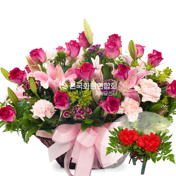 카네이션바구니(코사지무료)
