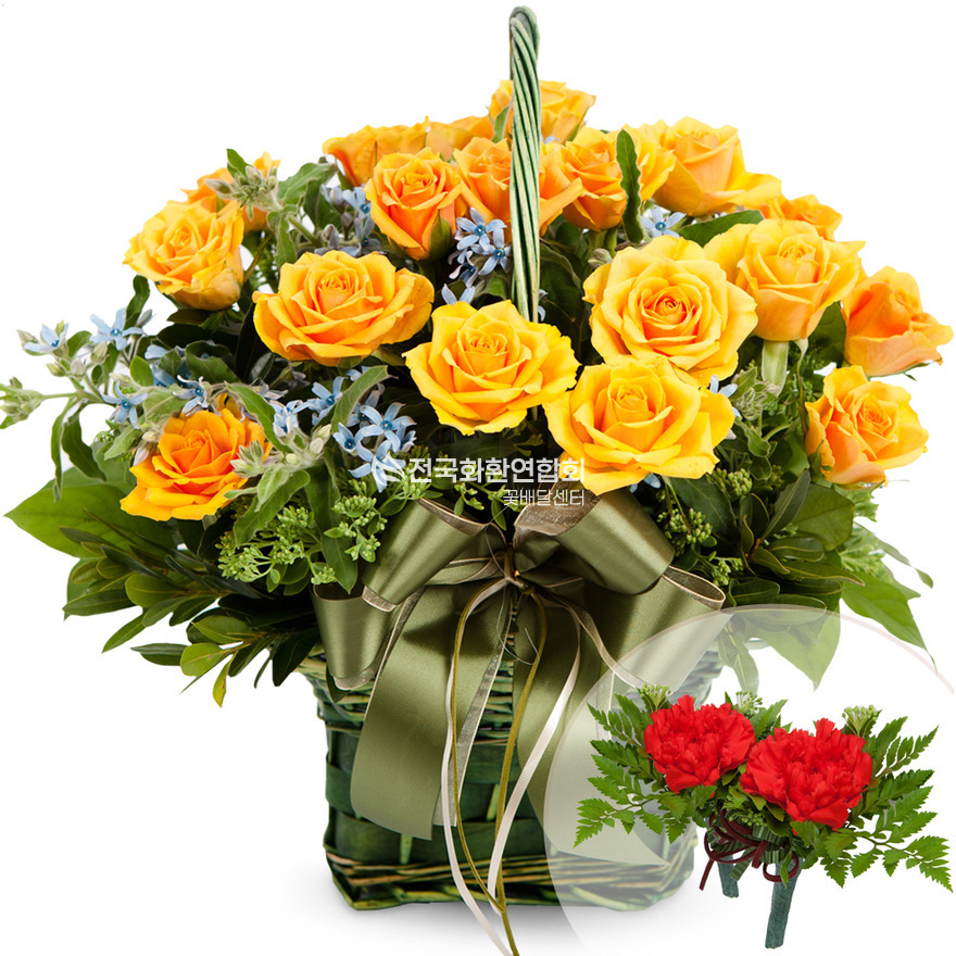상세이미지
