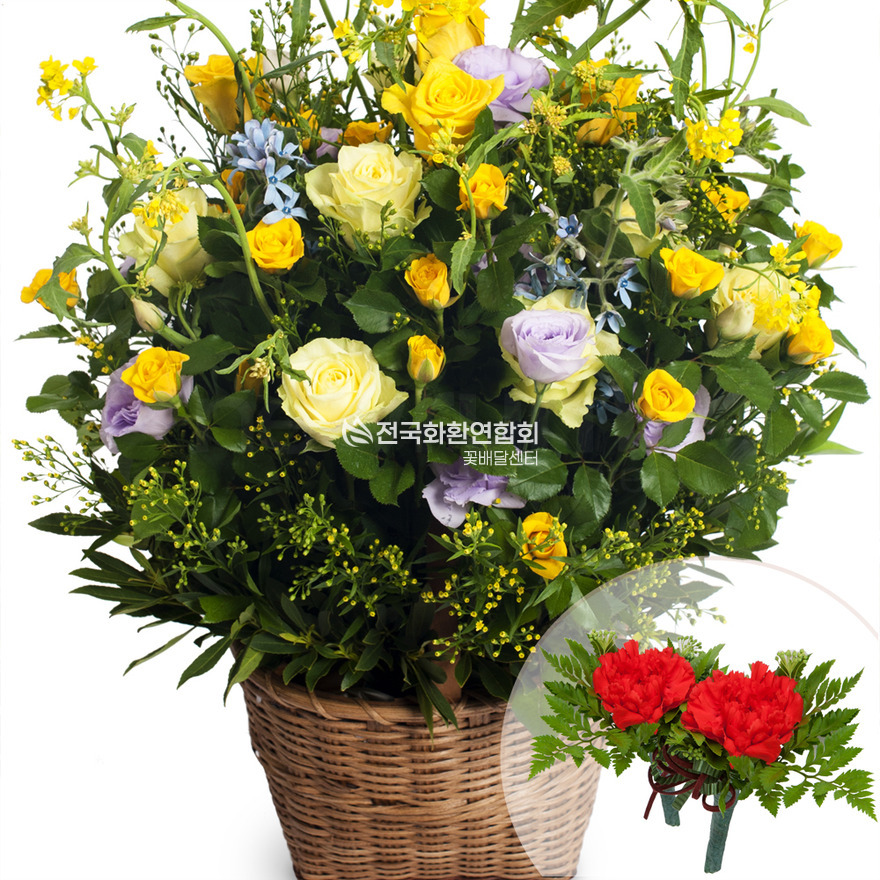 상세이미지