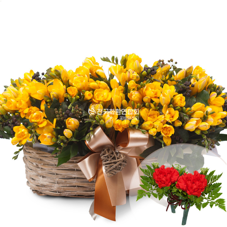 상세이미지
