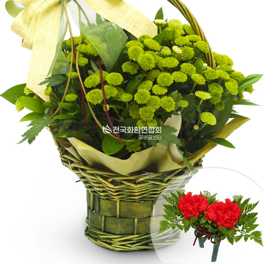 상세이미지