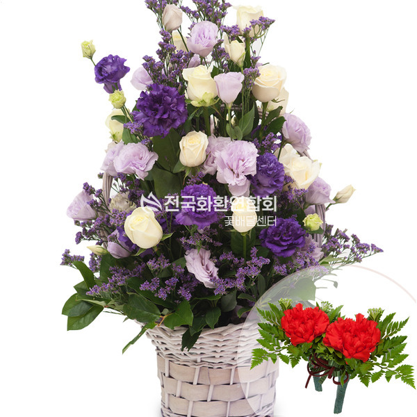보라혼합바구니