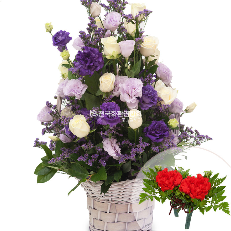 상세이미지