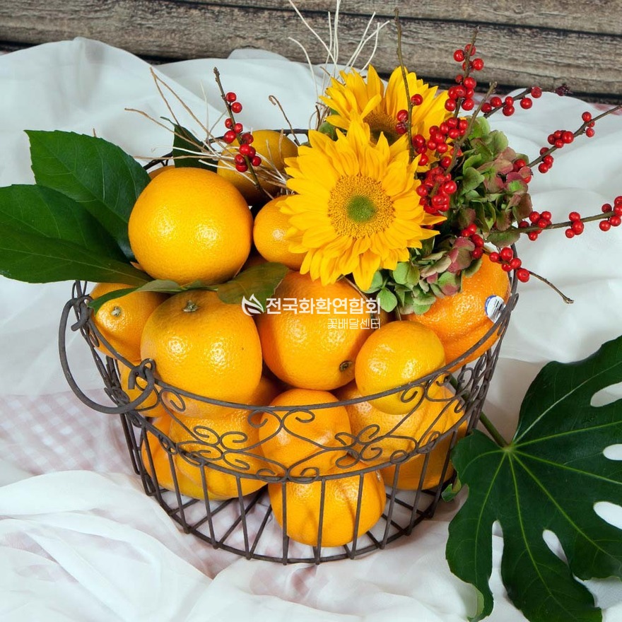 상세이미지