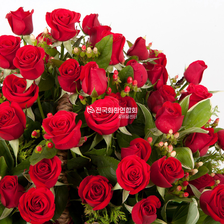 상세이미지