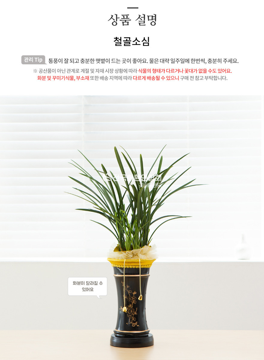 상세이미지