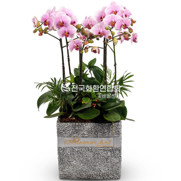 ★웨딩★