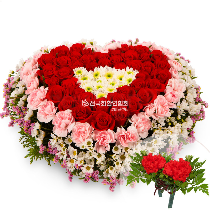 상세이미지