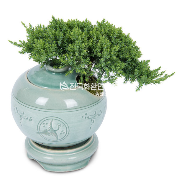 도자기진백분재 s101