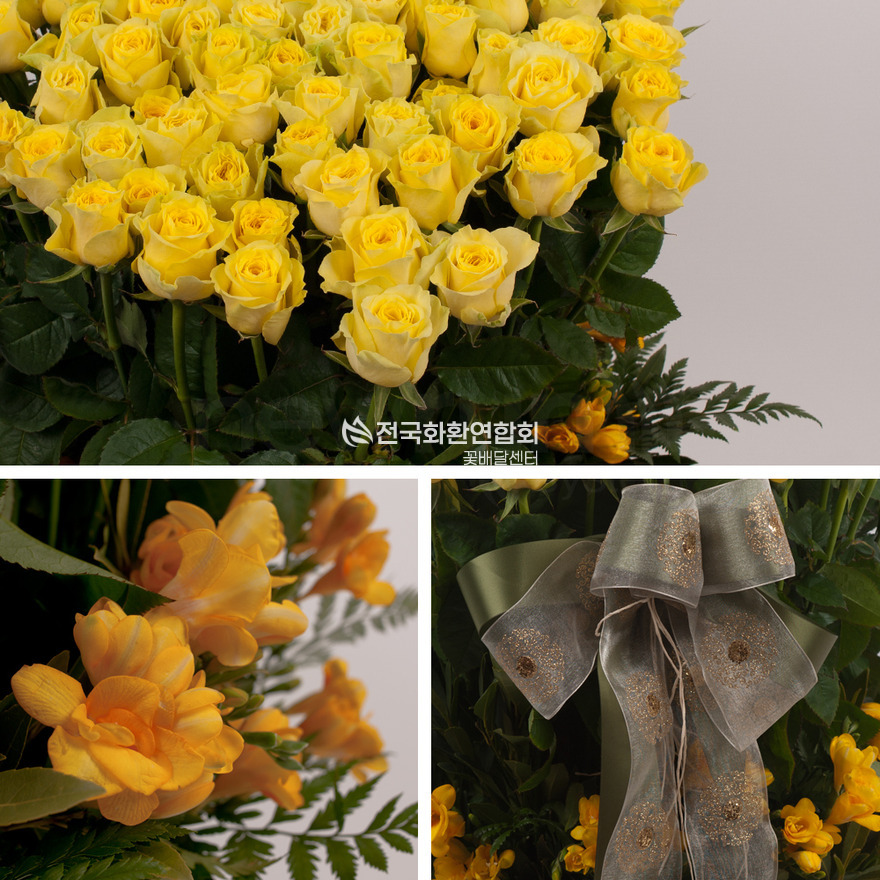 상세이미지