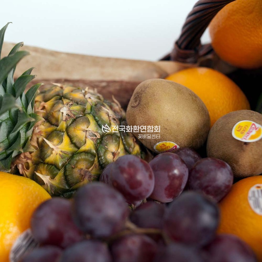 상세이미지