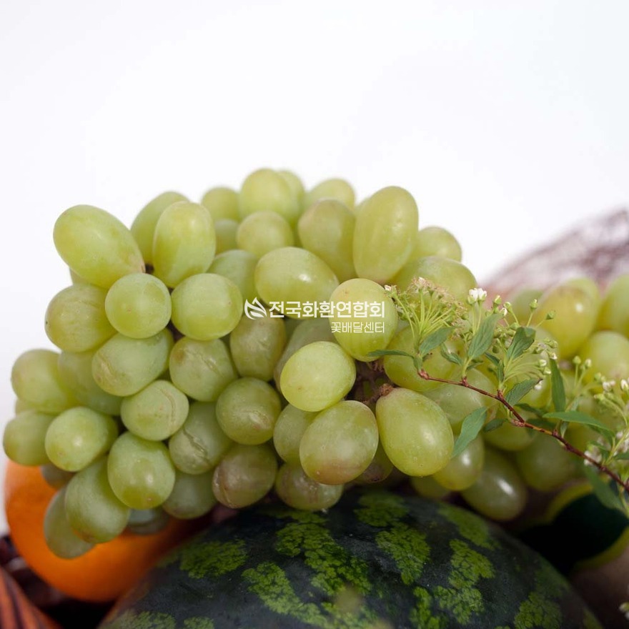상세이미지